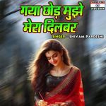 Gaya Chhod Mujhe Mera Dilbar