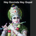 Hey Govinda Hey Gopal movie poster