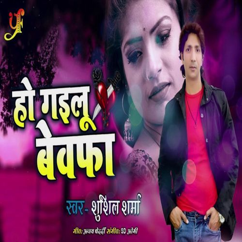 Ho Gailu Bewafa