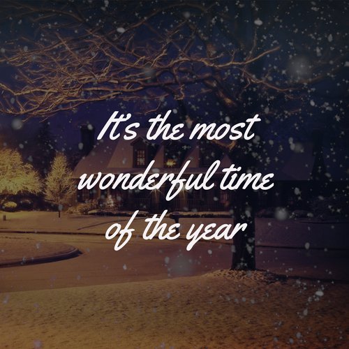 It's the Most Wonderful Time of the Year_poster_image