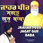 Jhaar Peer Jagat Gur Baba
