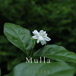 Mulla-MzwTUBhjXgI