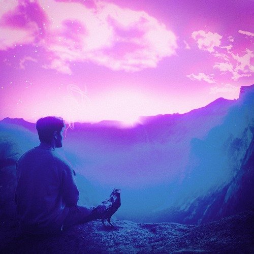Napoleon cover art