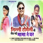 Nilli Togeli Vo Roy Gai Mama Ne Ghar