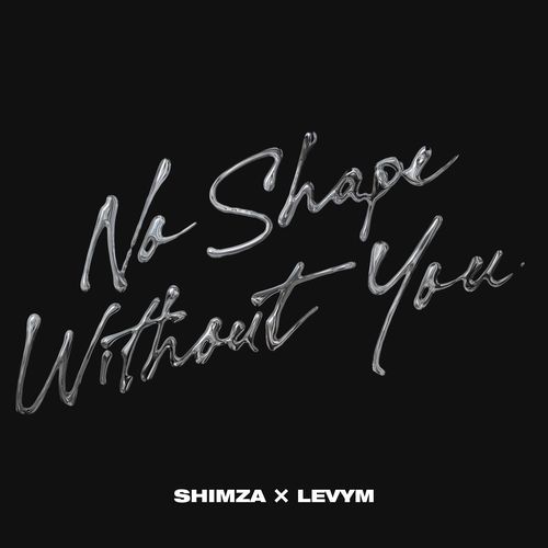 No Shape Without You
