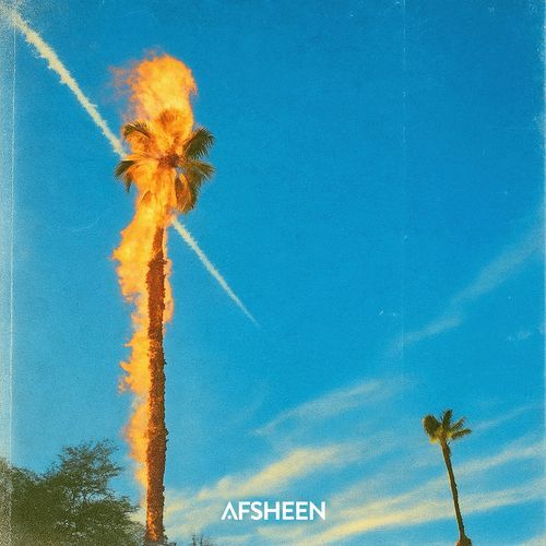 Palm Tree On Fire