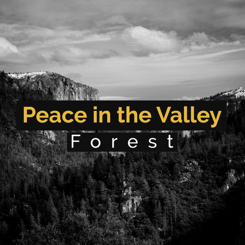 Peace in the Valley