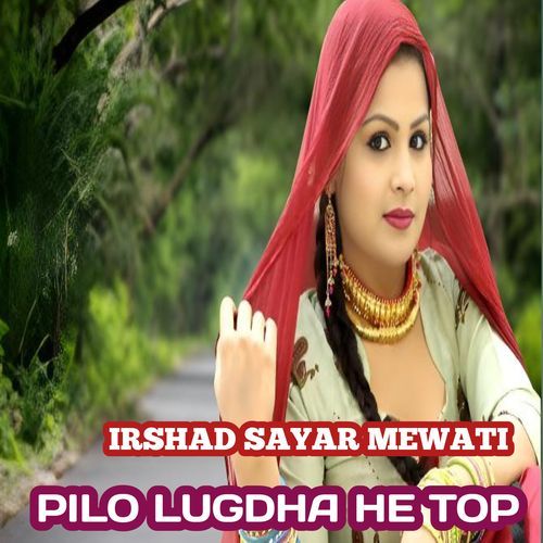 Pilo Lugdha He Top