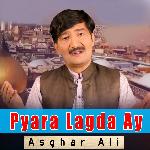 Pyara Lagda Ay