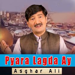 Pyara Lagda Ay