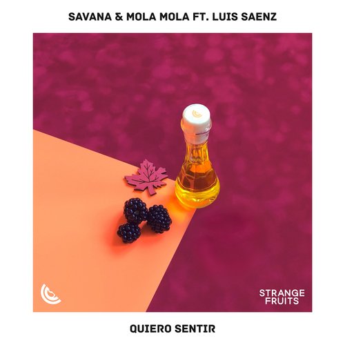 Quiero Sentir (feat. Luis Sáenz)_poster_image