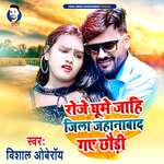 Roje Ghume Jahi Jila Jahanabad Ge Chaudi