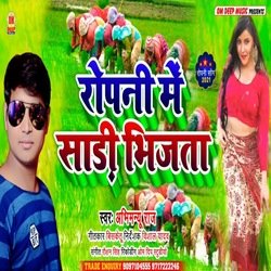 Ropani me sari bhijta