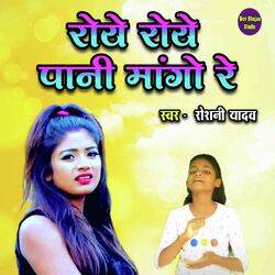 Roye Roye Pani Mango Re