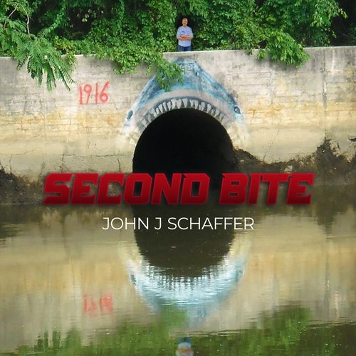 Engaged cover art