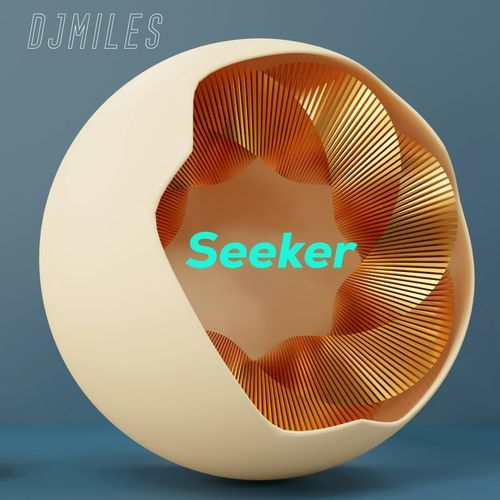 Seeker cover art