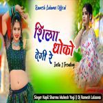 Shila Dhoko Degi Re