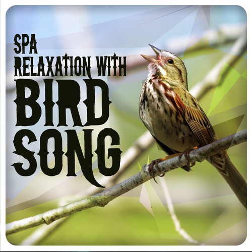 Spa Relaxation with Bird Song