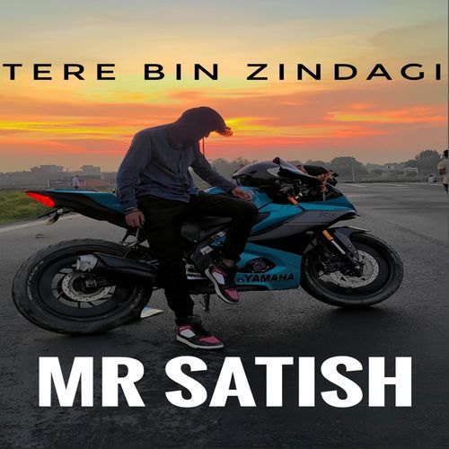 Tere Bin Zindagi