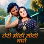 Teri Mitthi Mitthi Batian