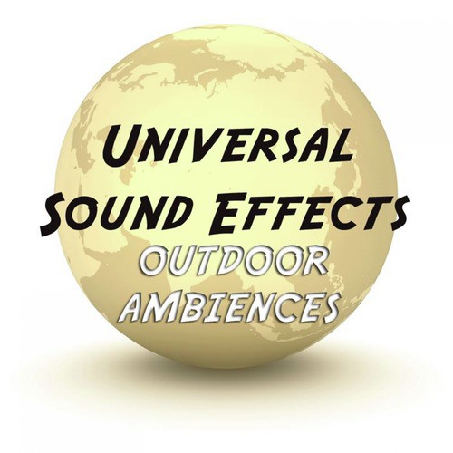 Ambience City Urban Exterior Sound Effects Sound Effect Sounds EFX Sfx FX Natural Ambience Sounds City and Cities - 2