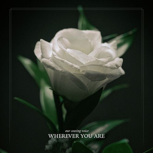 Wherever You Are