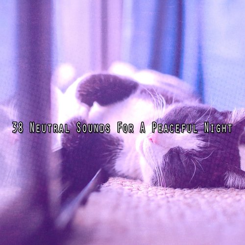 38 Neutral Sounds For A Peaceful Night