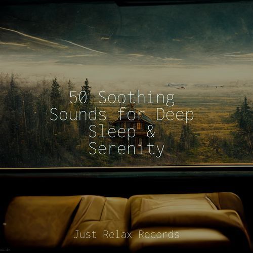 50 Soothing Sounds for Deep Sleep & Serenity_poster_image