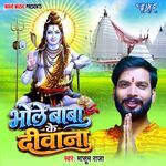 Bhole Baba Ke Deewana