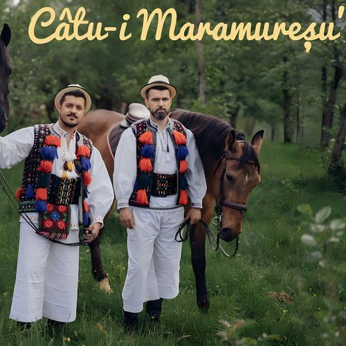 Câtu-I Maramureșu'_poster_image