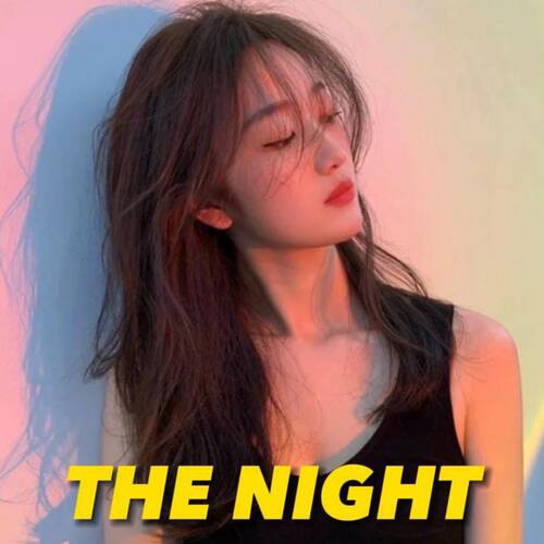 DJ THE NIGHT MENGKANE cover art