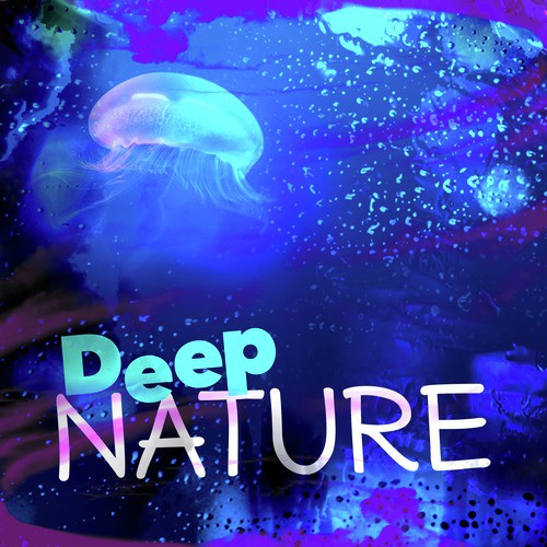 Summertime Brook cover art