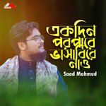 Ekdin Poropare Vasabire Nau