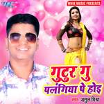 Gutur Gu Palgiya Pe Hoi artwork