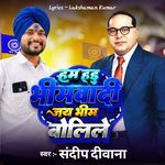 Ham Hai Bhimwadi Jay Bhim Bolile