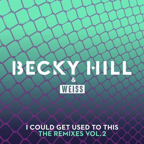 I Could Get Used To This (The Remixes / Vol. 2)