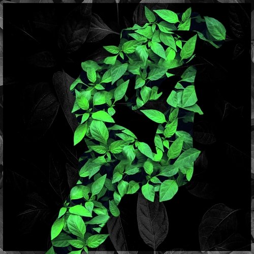SOUL cover art