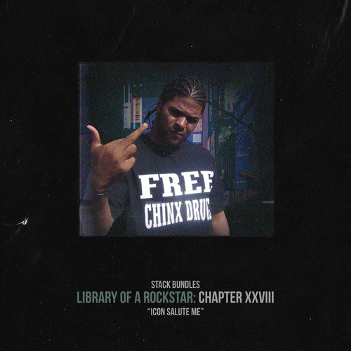 Library of a Rockstar: Chapter 28 - Icon Salute Me