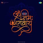 ॐ नमः शिवाय