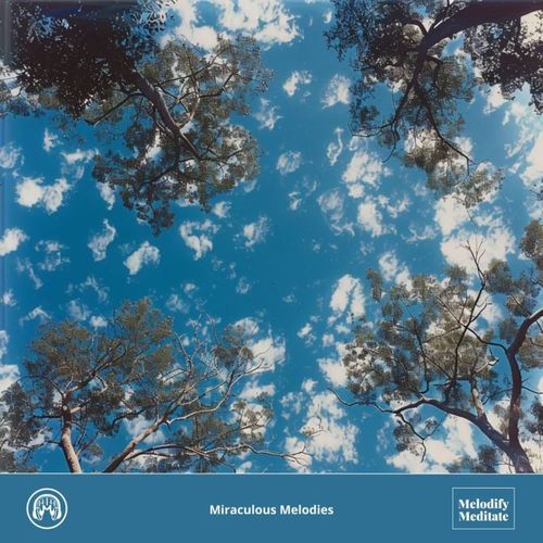 Miraculous Melodies
