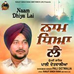 Naam Dhiya Lai