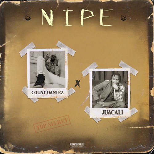 Nipe cover art