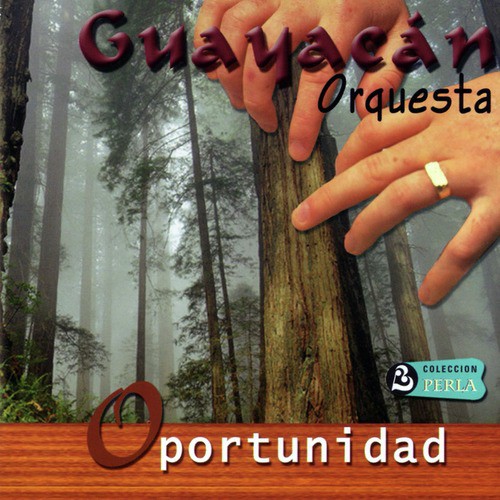 Orquesta Guayacán