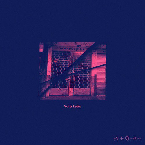 Para Nara Leão (Depois Que o Covid Passar) cover art