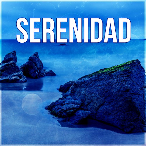 Musica Relax cover art