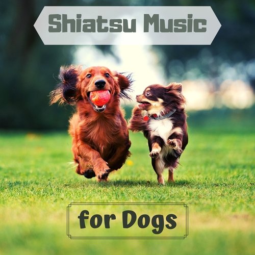 Shiatsu Music for Dogs