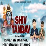 Shiv Tandav