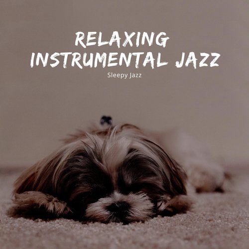 Sleepy Jazz_poster_image