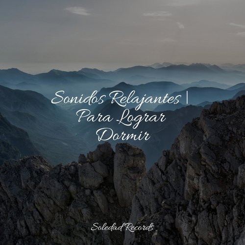 Serenidad Divina cover art