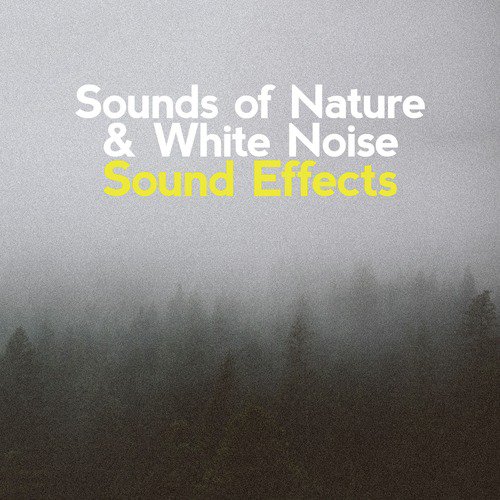 Cloud Bursting cover art